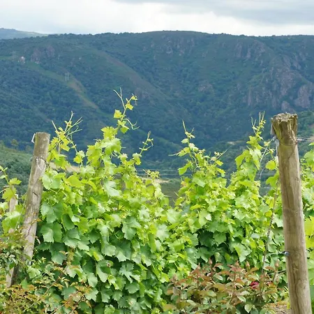 Apartment O Muino Casa Ferrador Ribeira Sacra